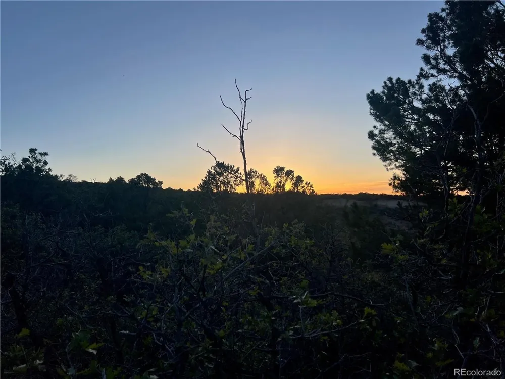 18975 Elk Reserve Road Glade Park, CO 81523