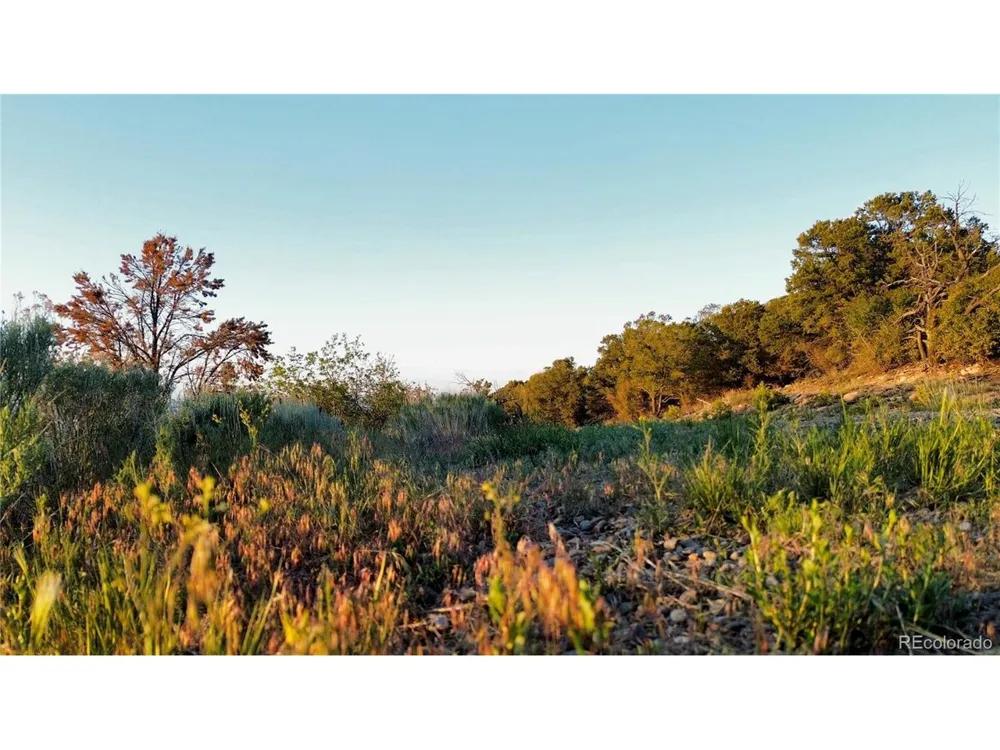 18975 Elk Reserve Road Glade Park, CO 81523