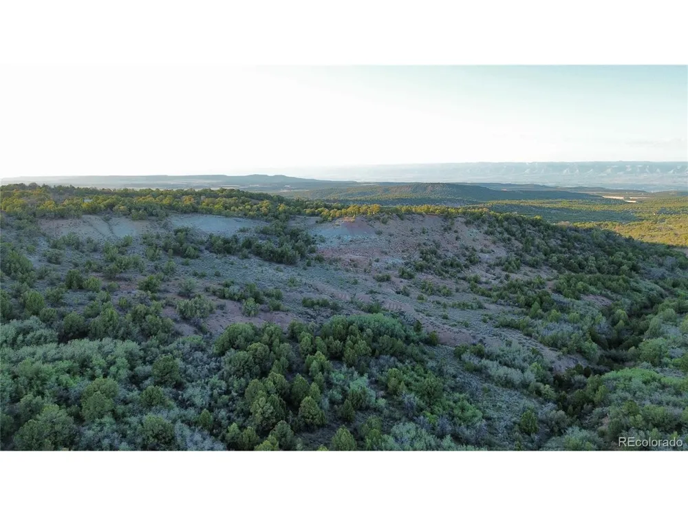 18975 Elk Reserve Road Glade Park, CO 81523
