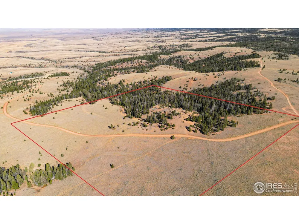 0 Wilderness Ranch Road Red Feather Lakes, CO 80545