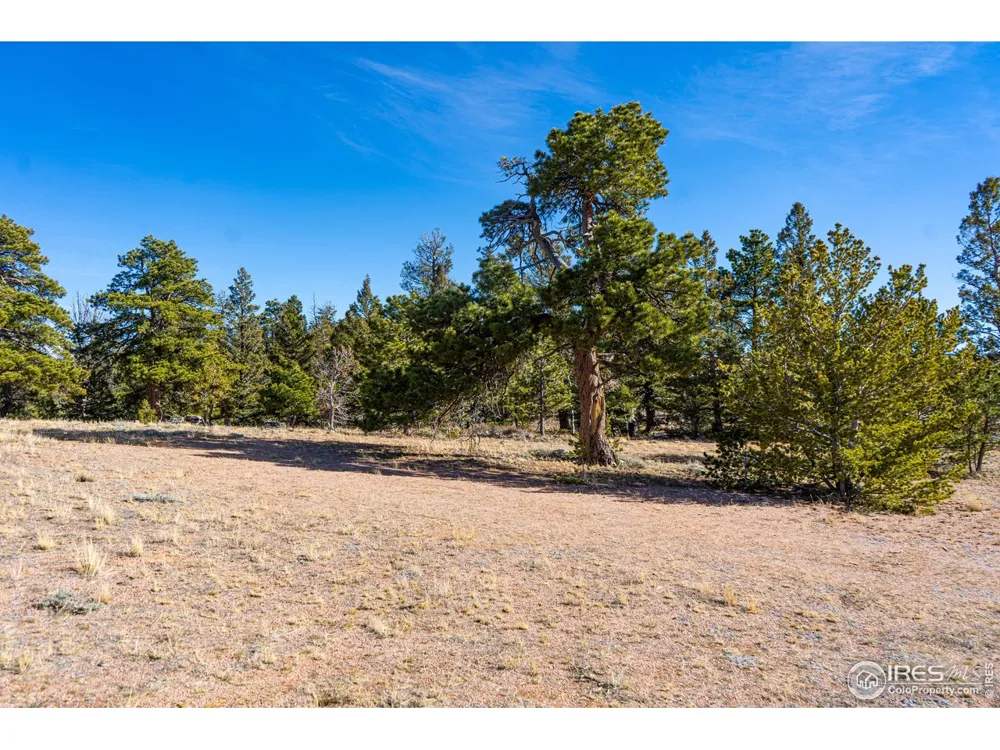 0 Wilderness Ranch Road Red Feather Lakes, CO 80545