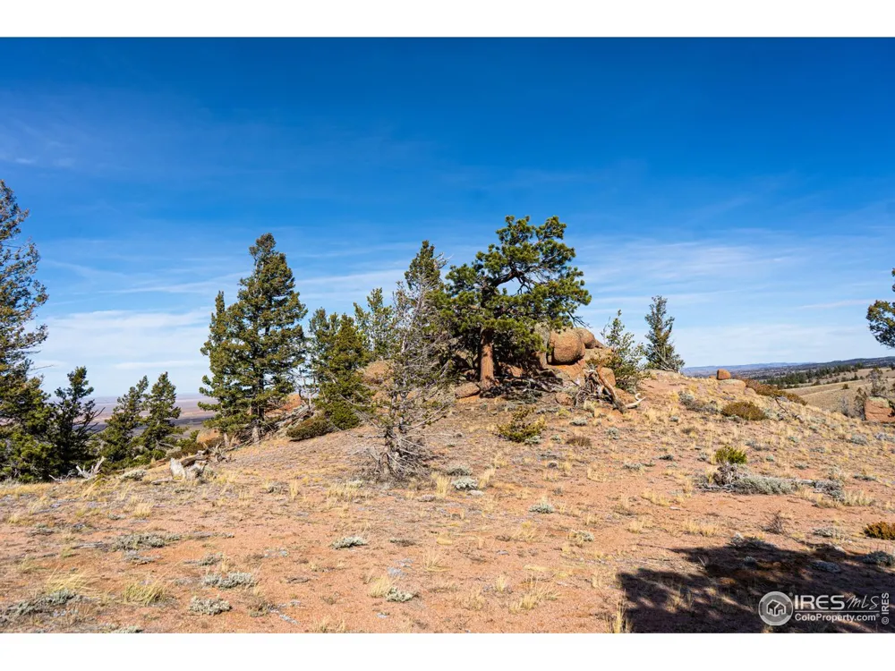 0 Wilderness Ranch Road Red Feather Lakes, CO 80545