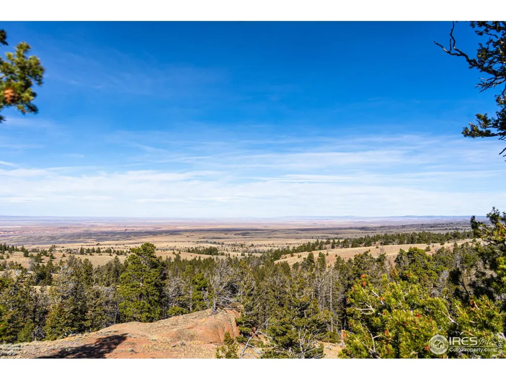 0 Wilderness Ranch Road Red Feather Lakes, CO 80545