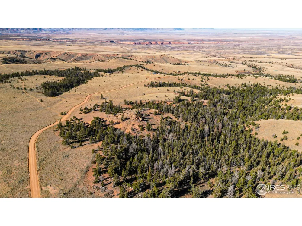 0 Wilderness Ranch Road Red Feather Lakes, CO 80545