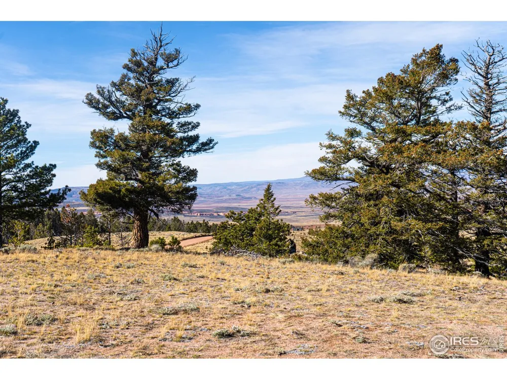 0 Wilderness Ranch Road Red Feather Lakes, CO 80545