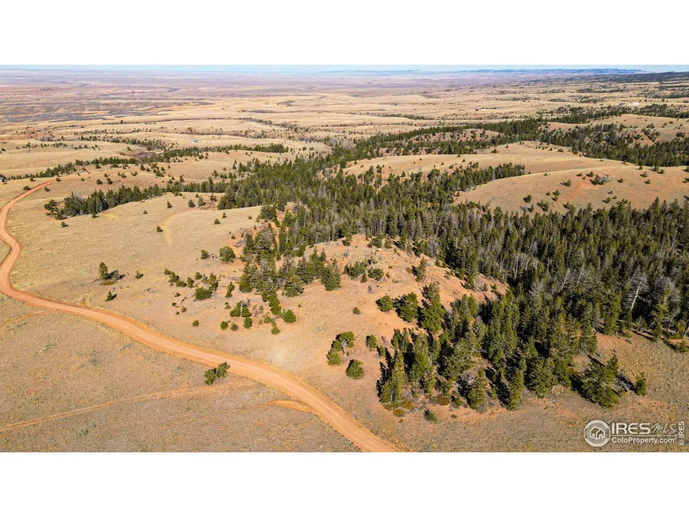 0 Wilderness Ranch Road Red Feather Lakes, CO 80545
