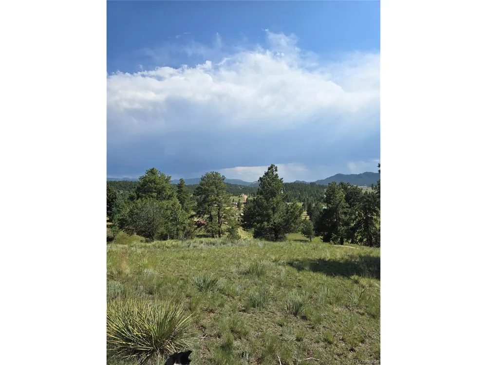 71 Elkhorn Circle Florissant, CO 80816