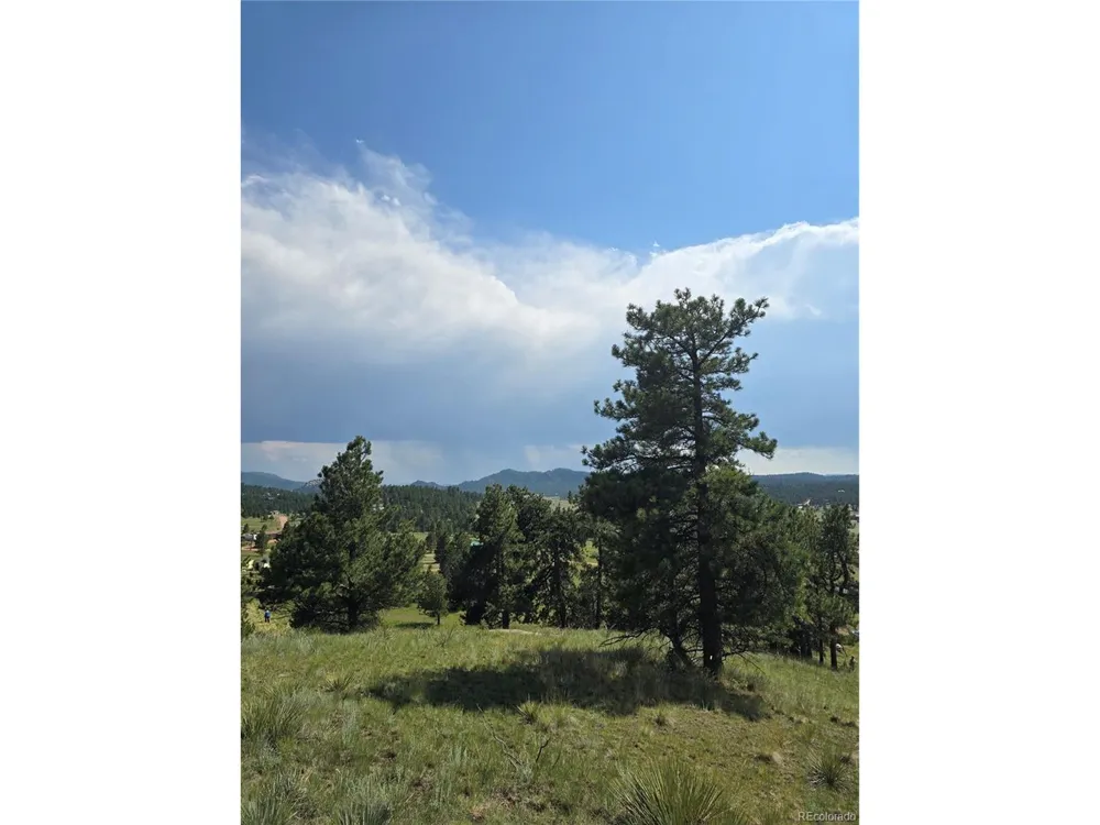 71 Elkhorn Circle Florissant, CO 80816