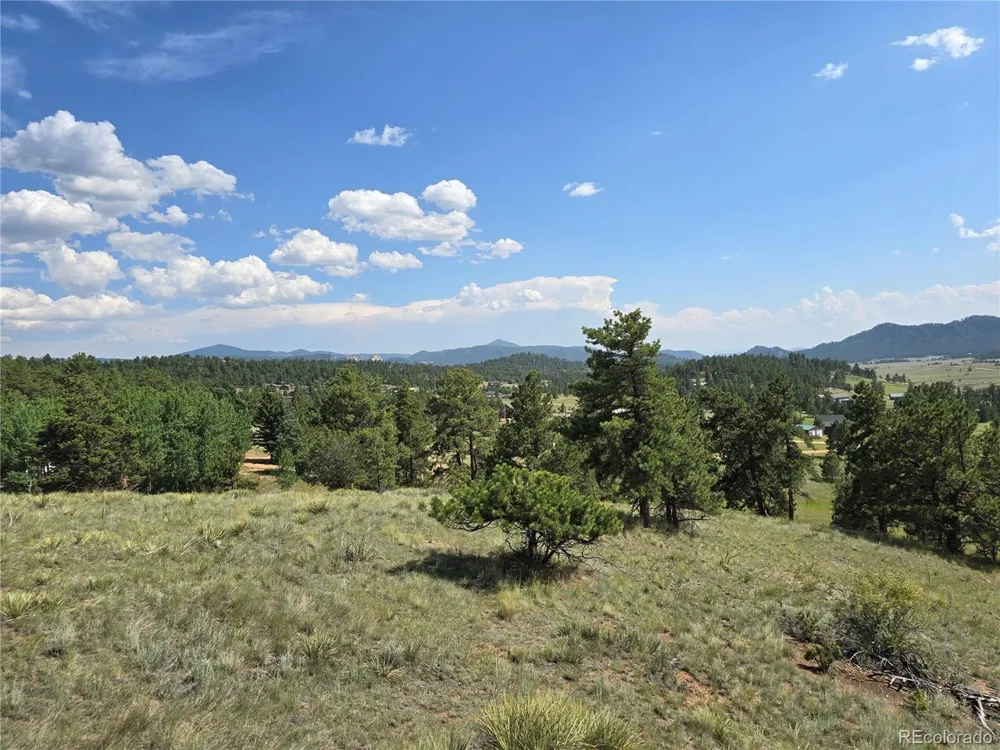71 Elkhorn Circle Florissant, CO 80816