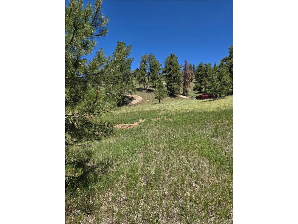 71 Elkhorn Circle Florissant, CO 80816