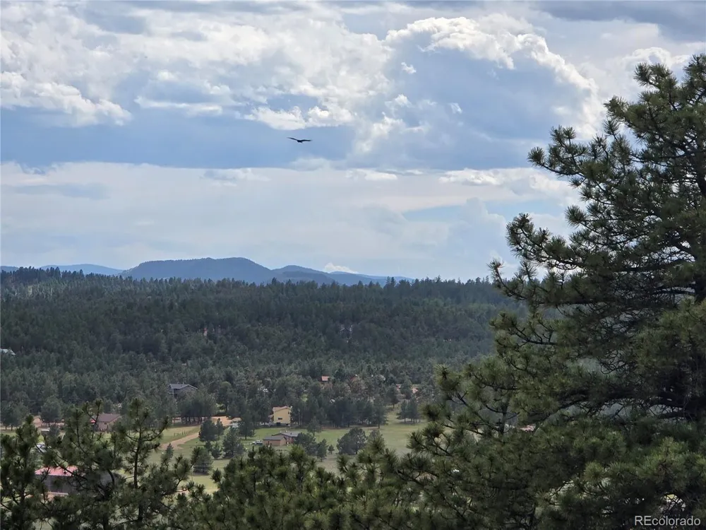 71 Elkhorn Circle Florissant, CO 80816