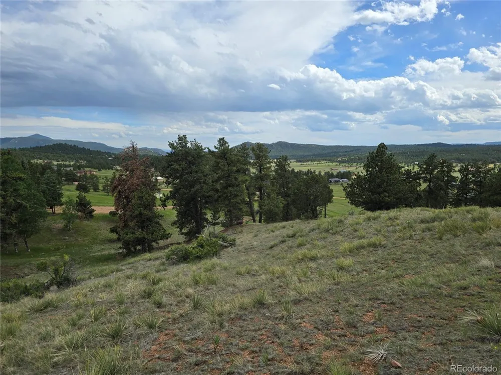 71 Elkhorn Circle Florissant, CO 80816