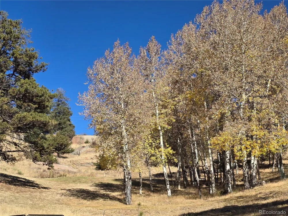 71 Elkhorn Circle Florissant, CO 80816