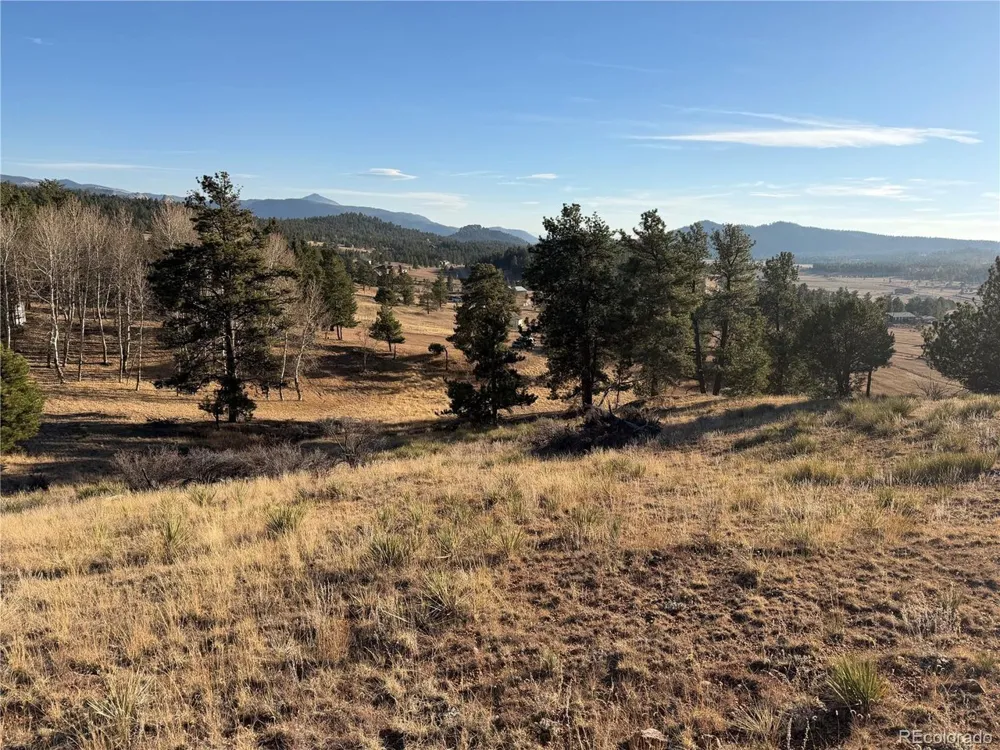 71 Elkhorn Circle Florissant, CO 80816