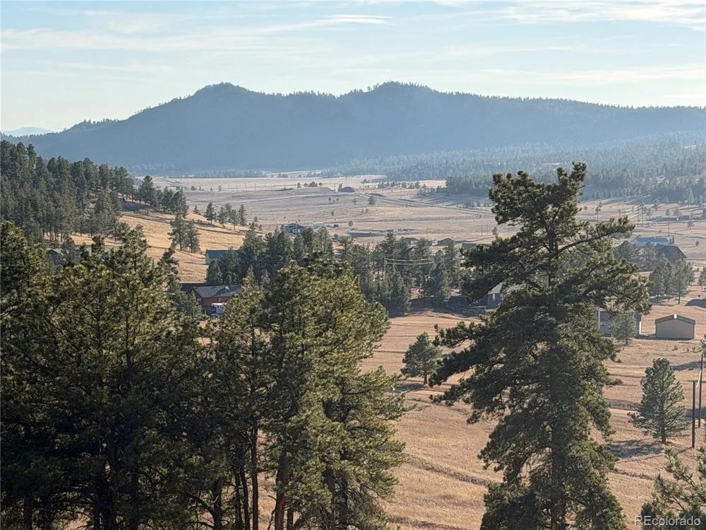 71 Elkhorn Circle Florissant, CO 80816