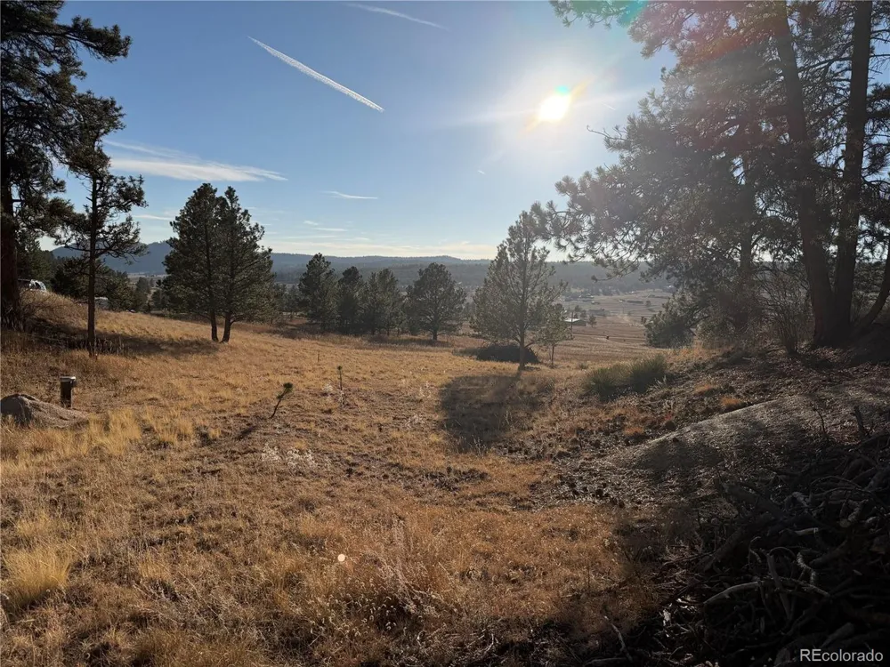 71 Elkhorn Circle Florissant, CO 80816