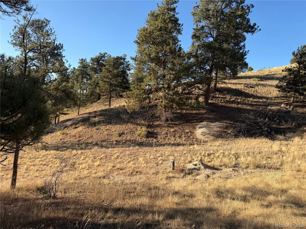 71 Elkhorn Circle Florissant, CO 80816