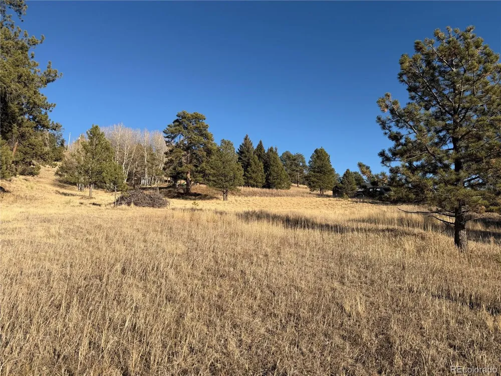 71 Elkhorn Circle Florissant, CO 80816
