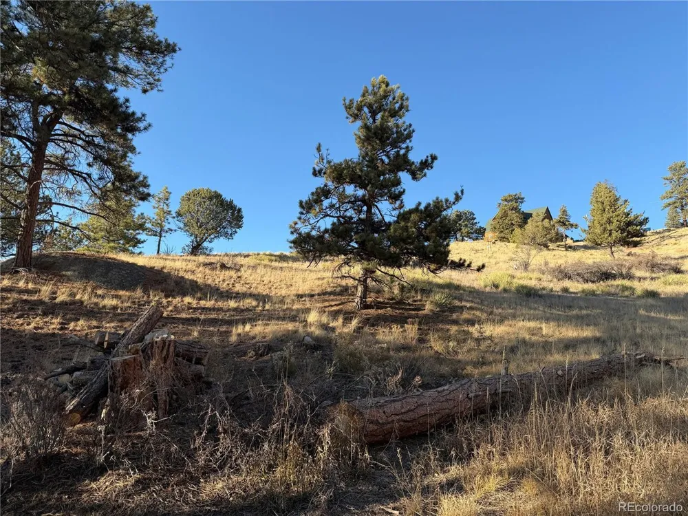 71 Elkhorn Circle Florissant, CO 80816