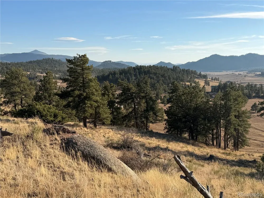 71 Elkhorn Circle Florissant, CO 80816