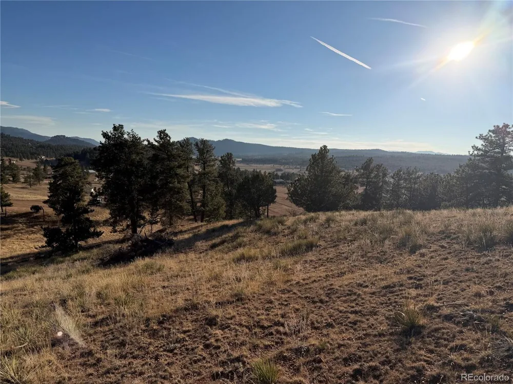 71 Elkhorn Circle Florissant, CO 80816