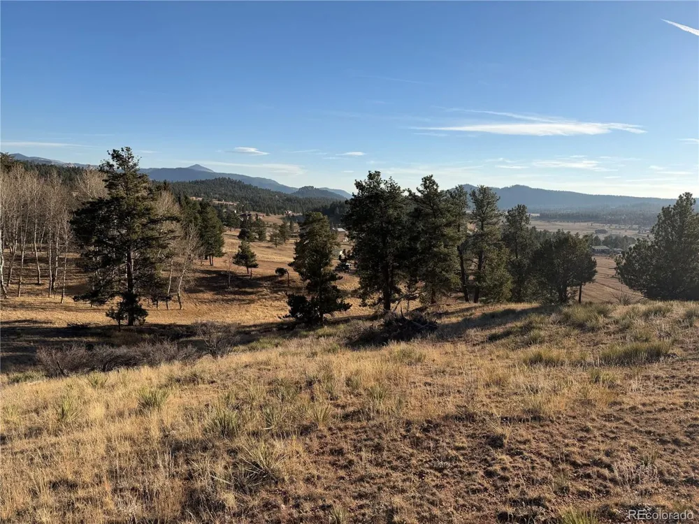 71 Elkhorn Circle Florissant, CO 80816
