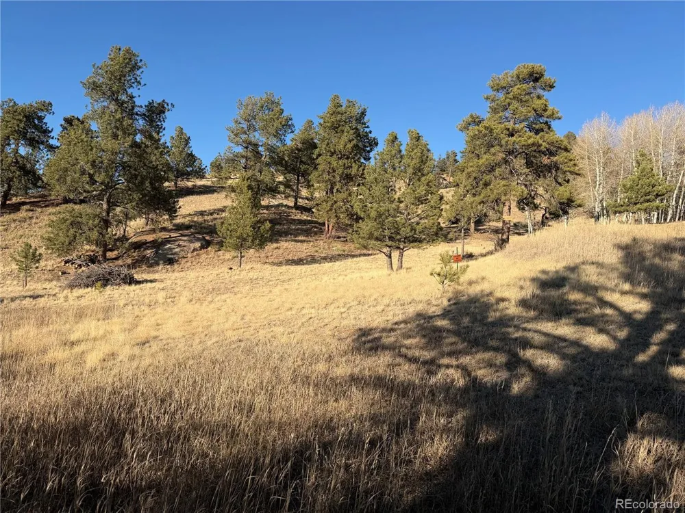 71 Elkhorn Circle Florissant, CO 80816