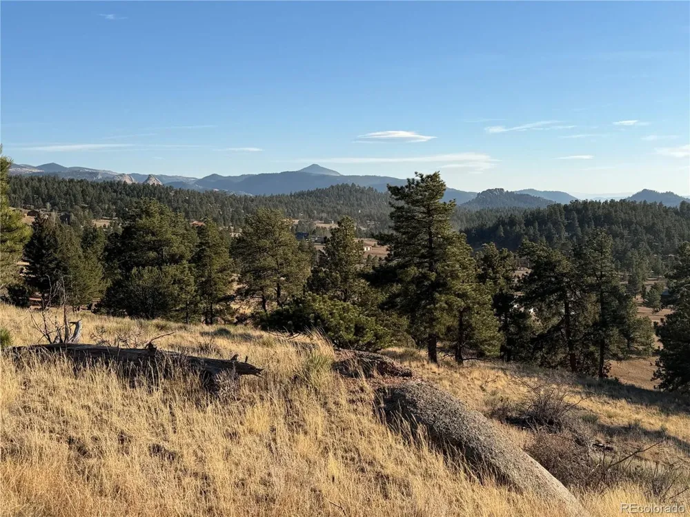 71 Elkhorn Circle Florissant, CO 80816