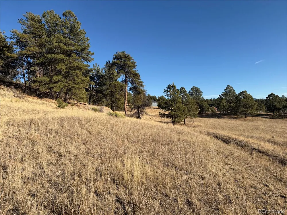 71 Elkhorn Circle Florissant, CO 80816