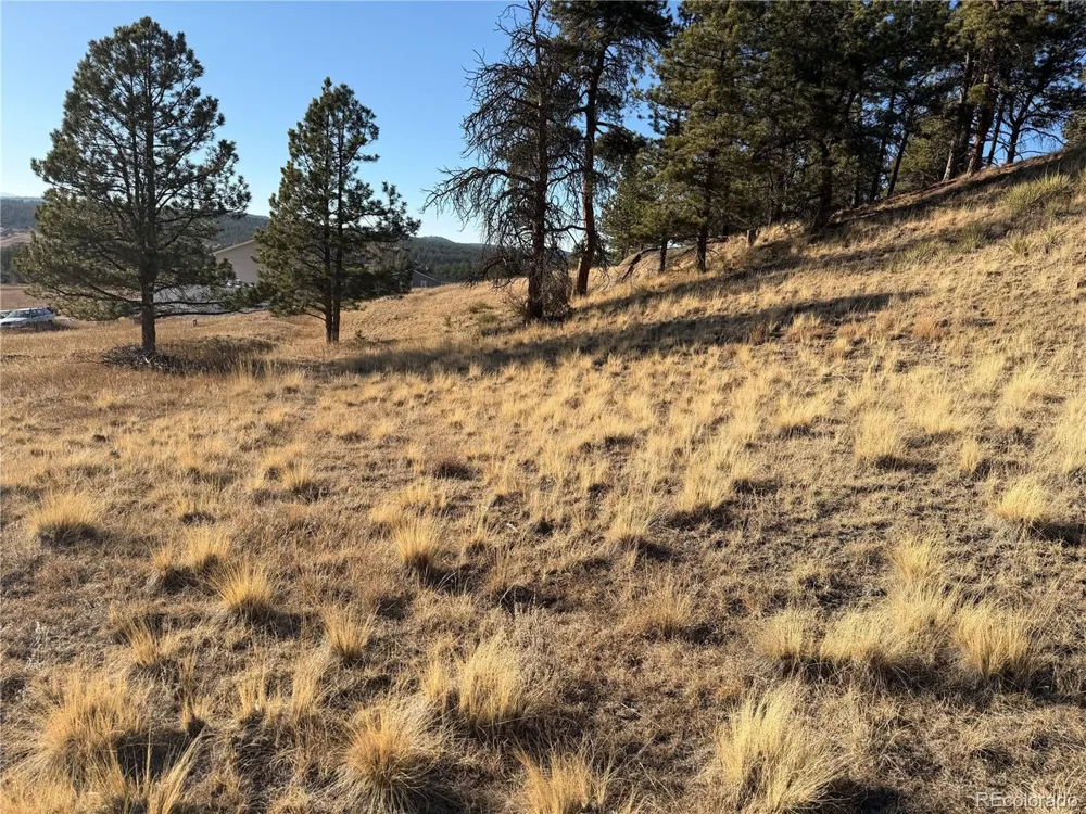 71 Elkhorn Circle Florissant, CO 80816