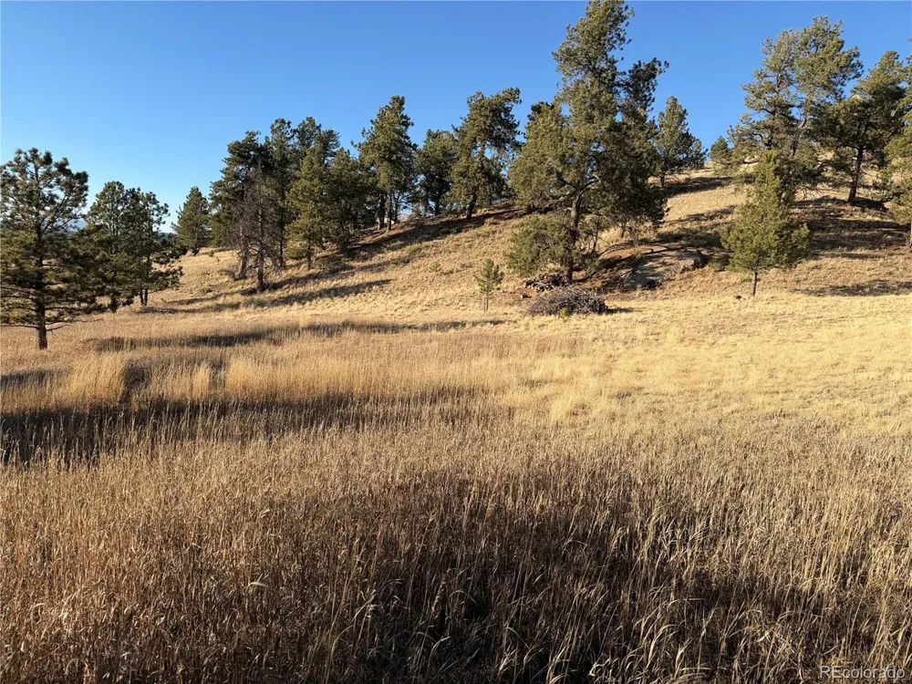 71 Elkhorn Circle Florissant, CO 80816