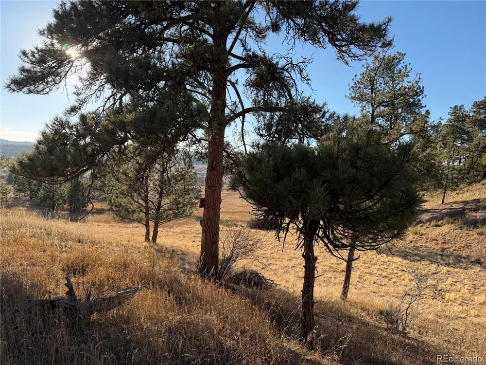 71 Elkhorn Circle Florissant, CO 80816