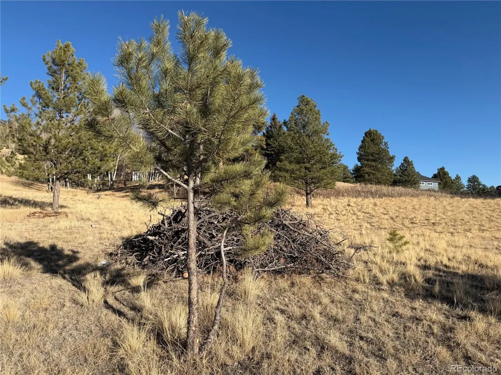 71 Elkhorn Circle Florissant, CO 80816