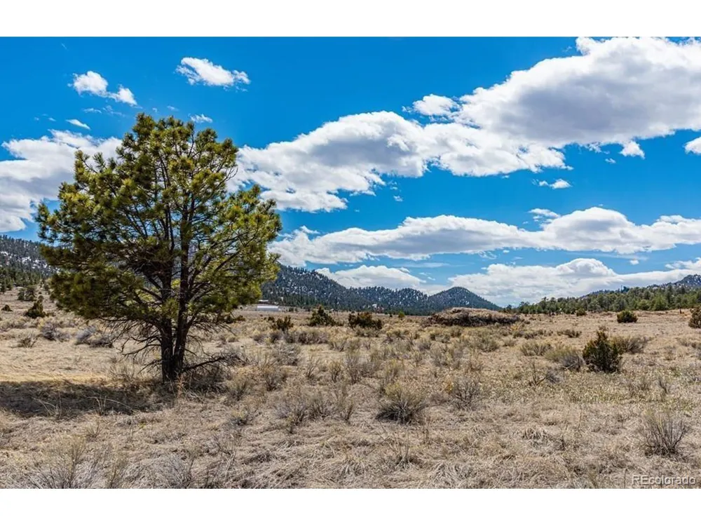 36 Marcey Road Westcliffe, CO 81252