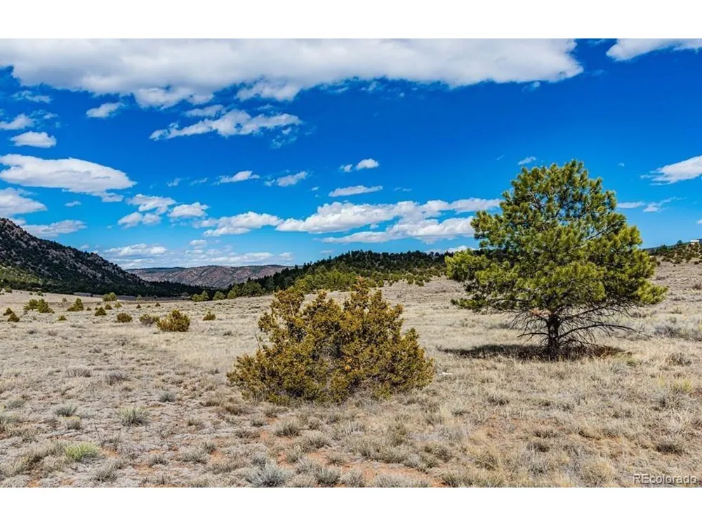 36 Marcey Road Westcliffe, CO 81252