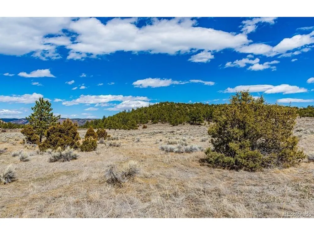 36 Marcey Road Westcliffe, CO 81252
