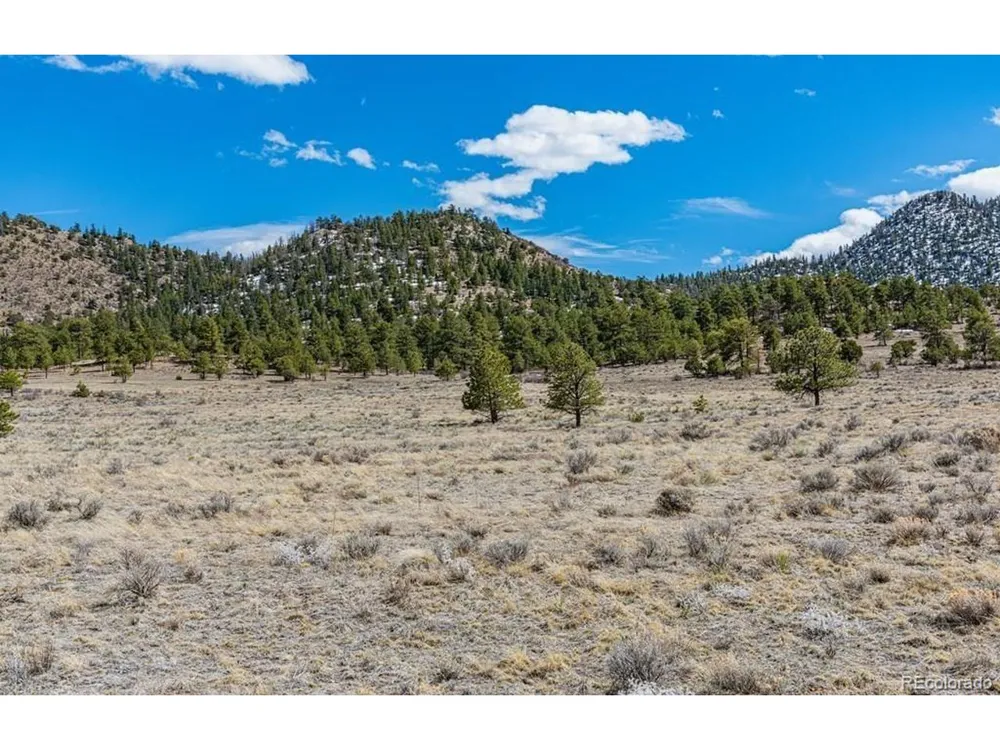 36 Marcey Road Westcliffe, CO 81252