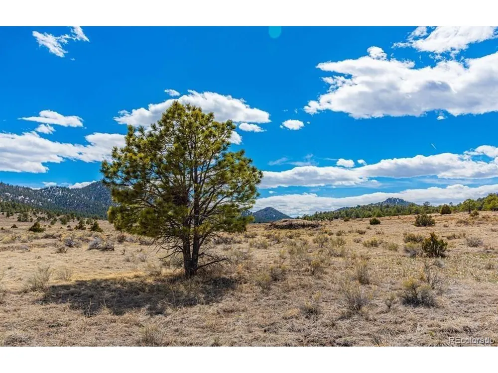 36 Marcey Road Westcliffe, CO 81252
