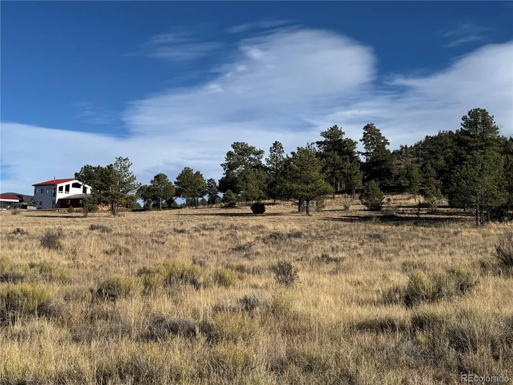 35 Stephens Drive Westcliffe, CO 81252