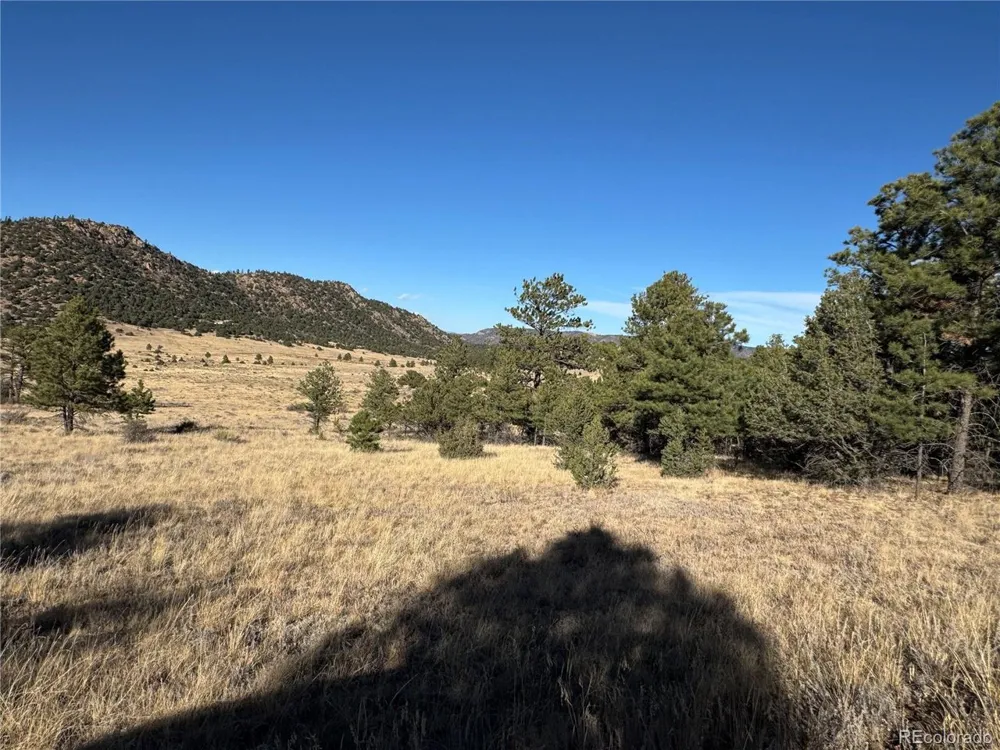 35 Stephens Drive Westcliffe, CO 81252