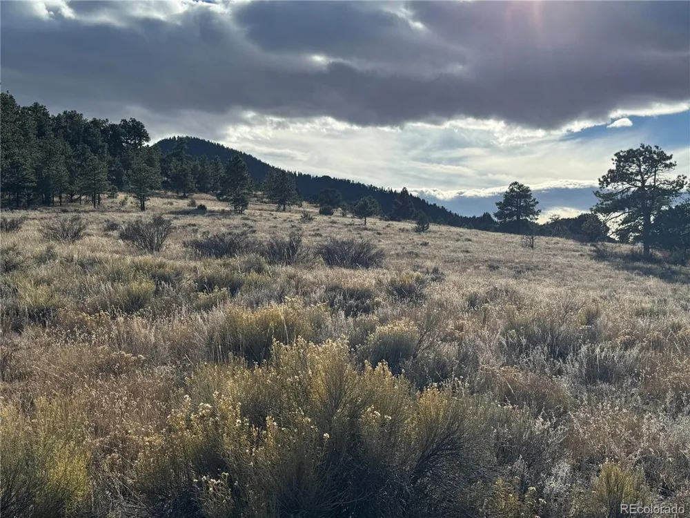 35 Stephens Drive Westcliffe, CO 81252