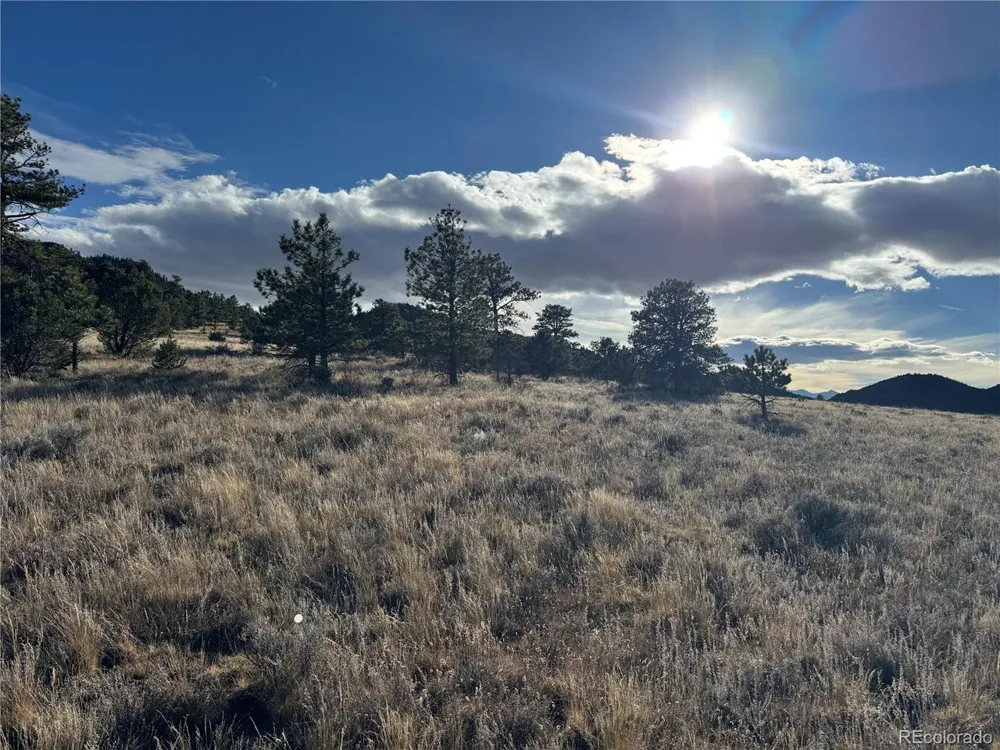 35 Stephens Drive Westcliffe, CO 81252