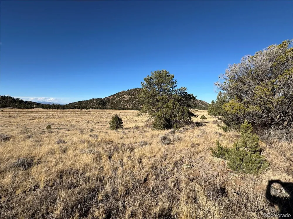 35 Stephens Drive Westcliffe, CO 81252
