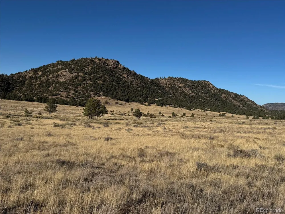 35 Stephens Drive Westcliffe, CO 81252