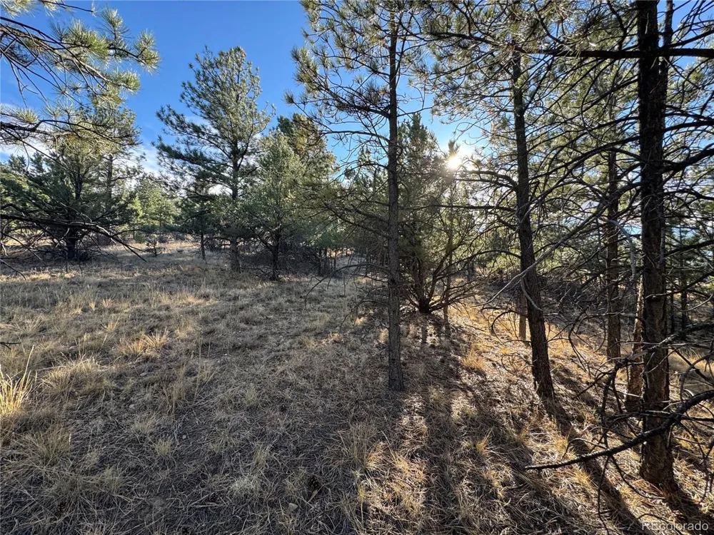 35 Stephens Drive Westcliffe, CO 81252