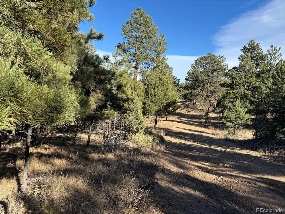 35 Stephens Drive Westcliffe, CO 81252