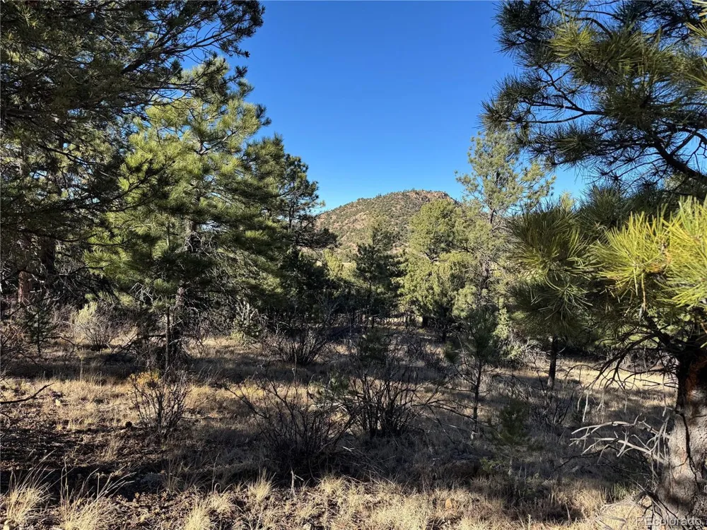 35 Stephens Drive Westcliffe, CO 81252