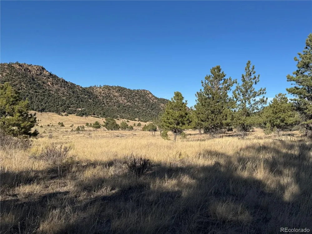 35 Stephens Drive Westcliffe, CO 81252
