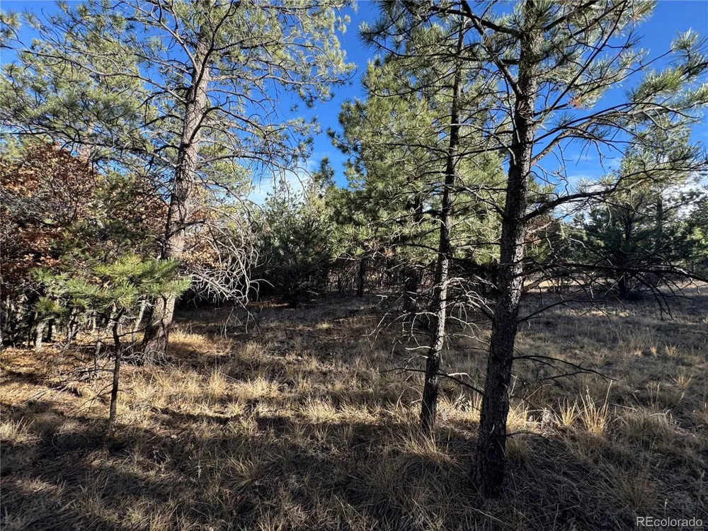 35 Stephens Drive Westcliffe, CO 81252