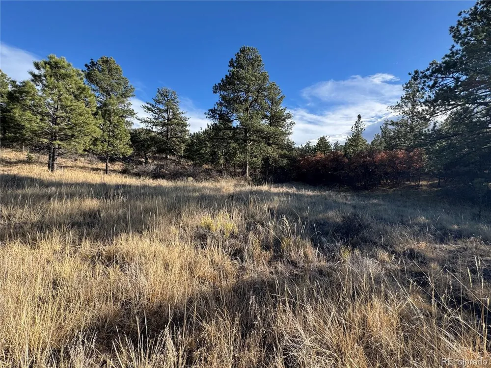 35 Stephens Drive Westcliffe, CO 81252